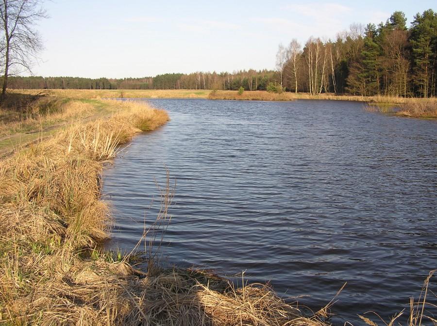 Staw i Łąki Hamerli.
