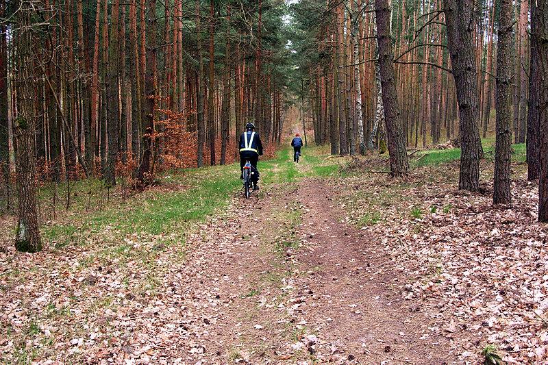 Leśne ścieżki