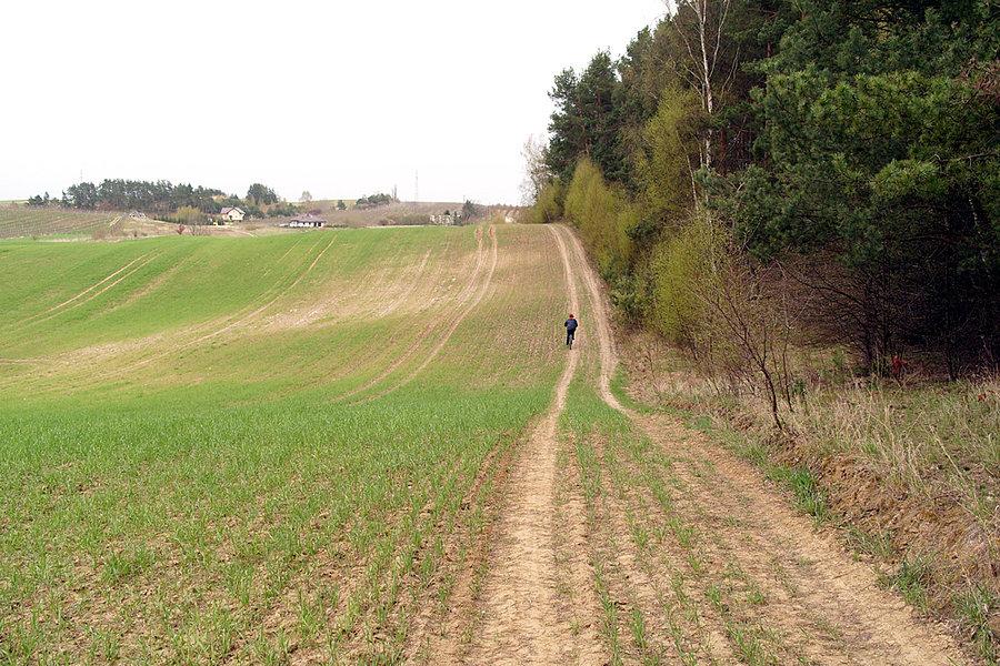 Anka na polnych dróżkach