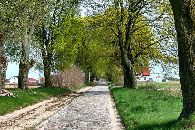 brukowana droga prowadzi nas do Grzędzic