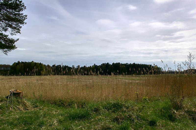 przydrożne widoki