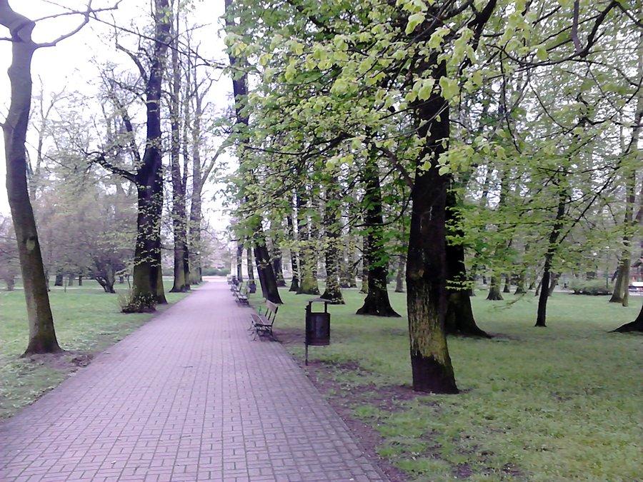 Kasztanowa aleja w Parku Kombatantów we Włochach