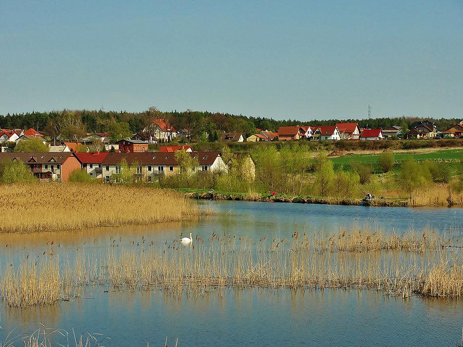Wiosenny widoczek.