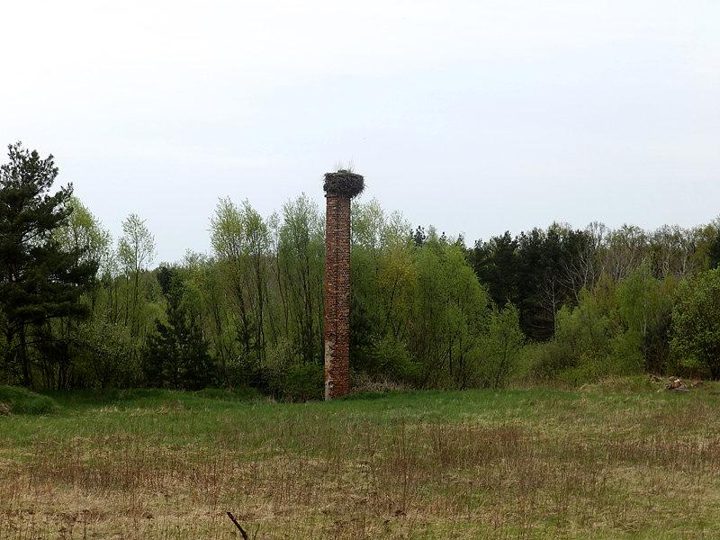 Gniazdo na Janówku
