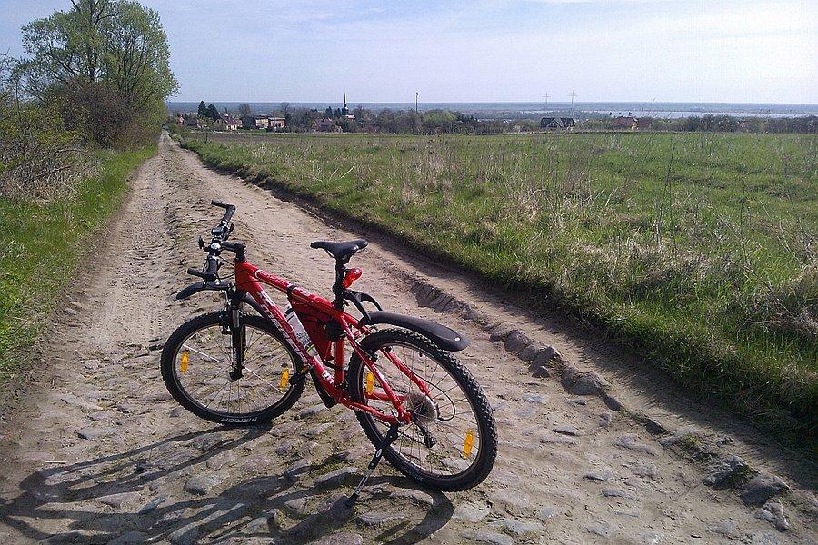 Droga pomiędzy Przęsocinem i Skolwinem