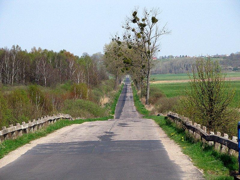 Kierunek na Ślesin