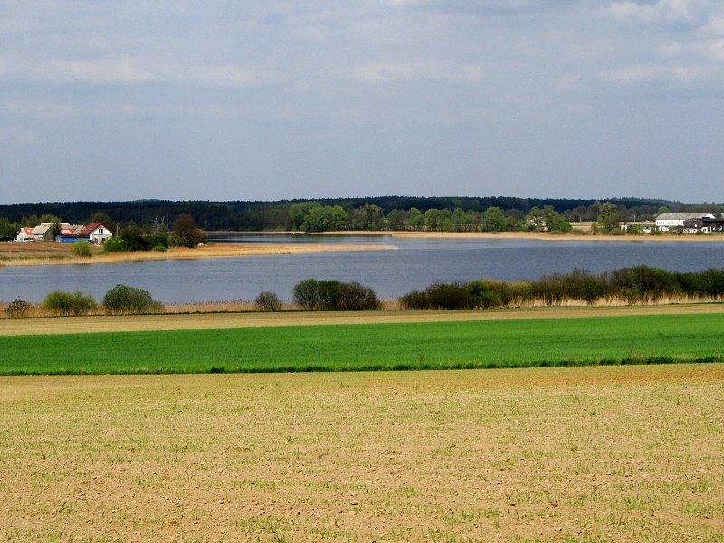 Jezioro Wąsowskie