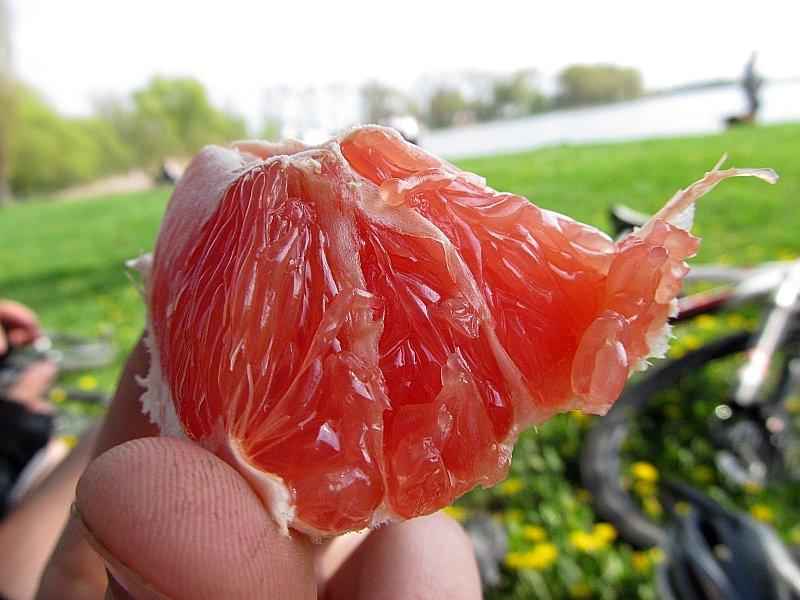 grejfrut na orzeźwienie