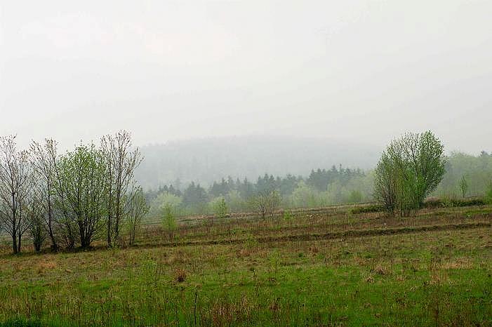 Widok na zamgloną Łysicę