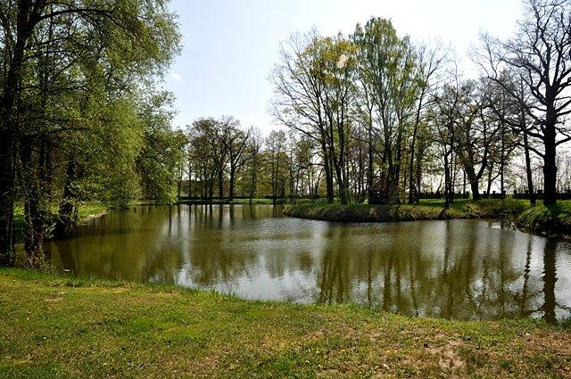 Tereny parkowe przy pałacu w Kobylnikach...