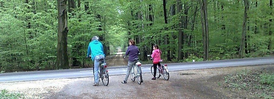 Rowerzyści szukają drogi w kierunku Rud Wielkich. Ścieżki są, ale nie ma oznakowania.