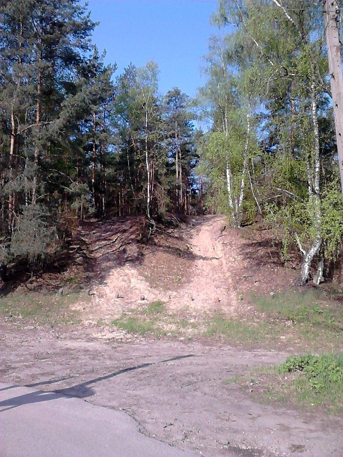 Puszcza Kampinoska