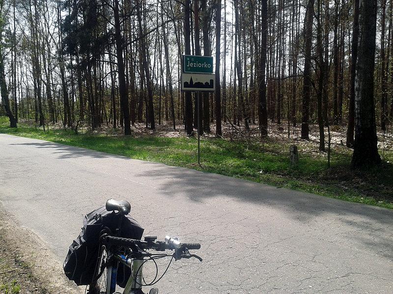 Jeziorko w lesie.