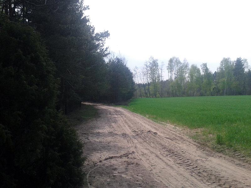 Tą drogą na pewno nie pojadę.