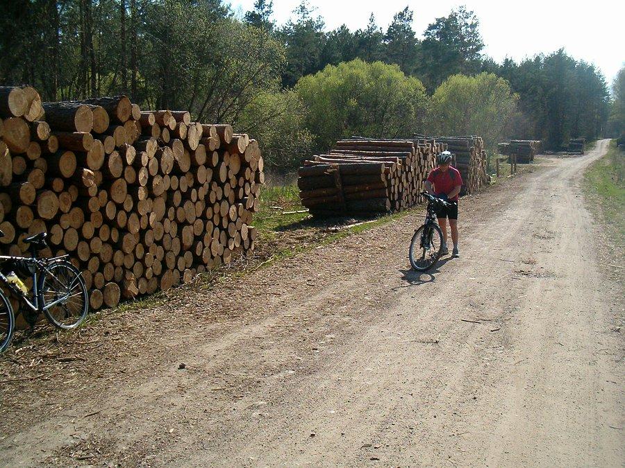 04-05-2013. Sobotnia rowerówka z Markiem. Marek przy składach drewna w Lesie Lubiszewskim.