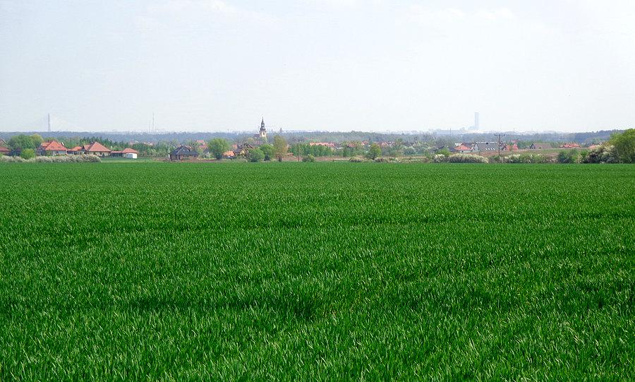 Panorama Wrocławia z Brzeziny