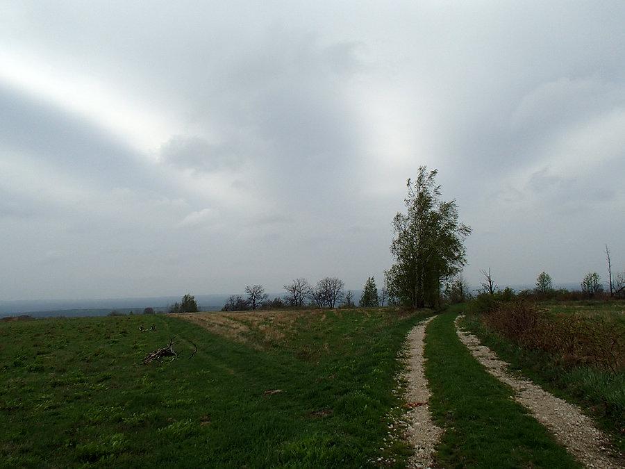 Widok na góry z polany