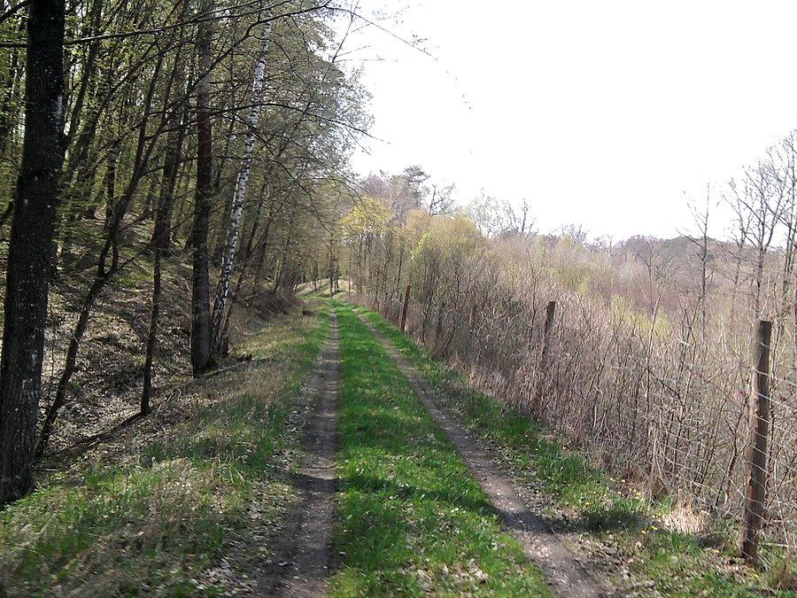 Droga donikąd