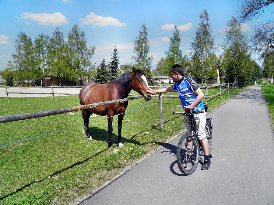 Tradycyjny obrazek z Neu Grambow - Kuba i konik