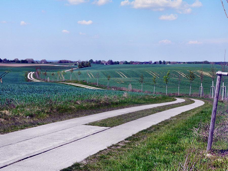 Droga przez pola i łąki między Gellin a Neu Grambow