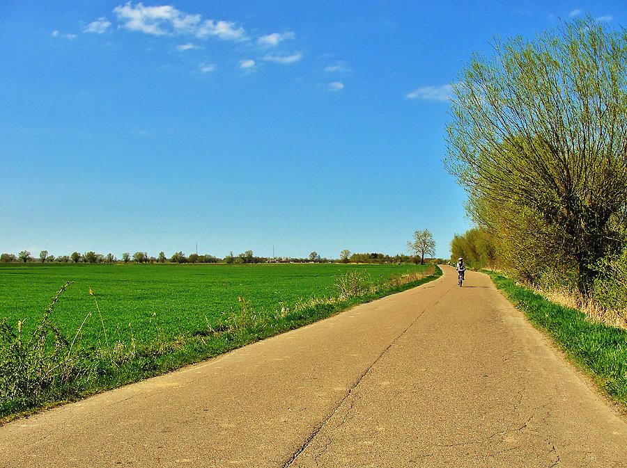 Na trasie pętli żuławskiej.
