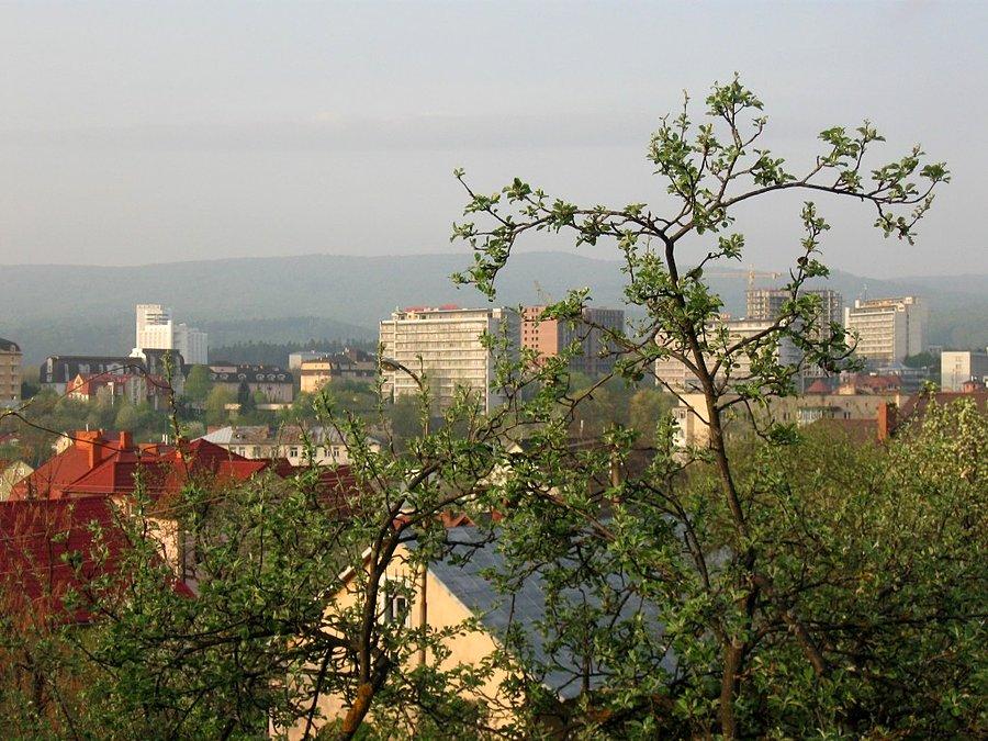 Truskawiec- widok na centrum