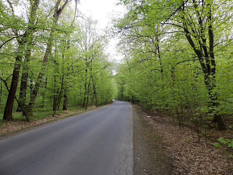 Ulica Marszowicka wiosną