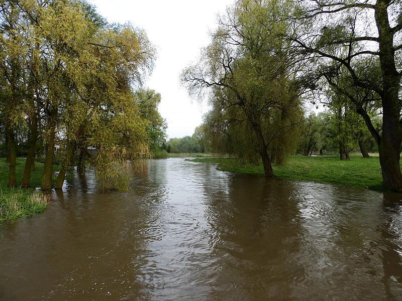 Bystrzyca na Jarnołtowie