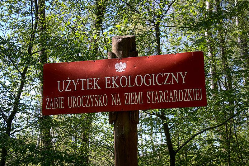 Nie miałem pojęcia o istnieniu takiego czegoś :)