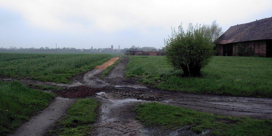 Widok na zamgloną Byczynę