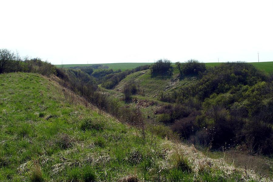 Widok z grodziska