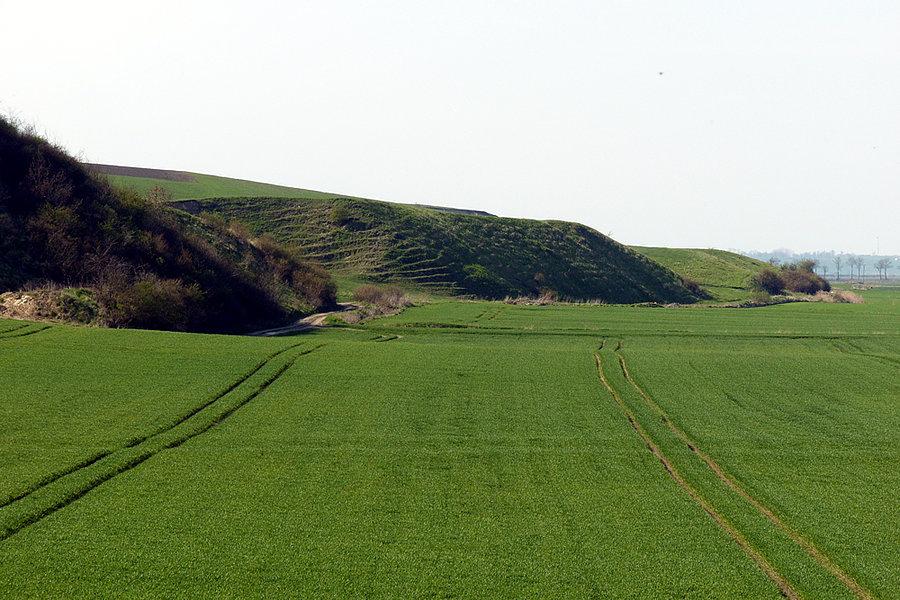 Widok na cmenatrz