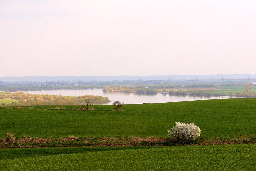 Widok na Wisłę – w tle most w Korzeniewie