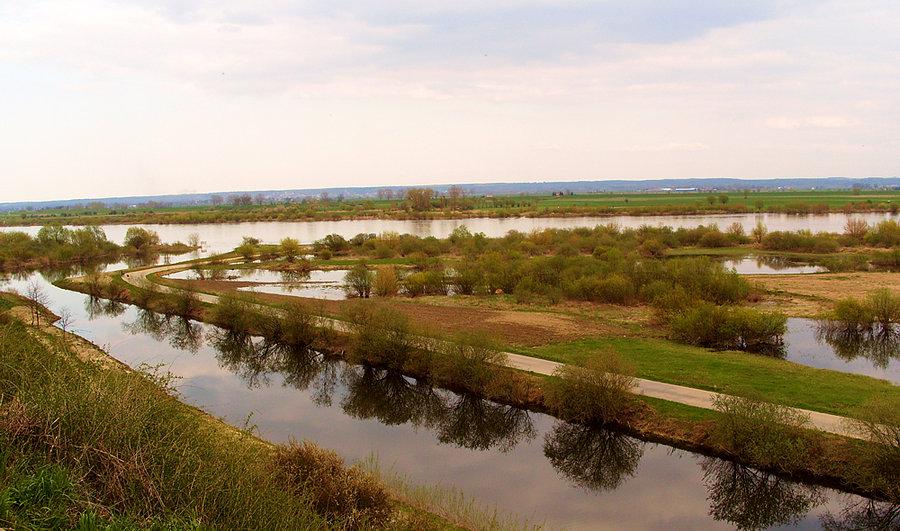 Widok na Wisłę i rozlewieska