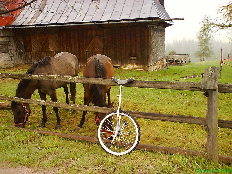 Murzasihle - Budzowa. Trochę nostalgii między-hardcorowej. ;)