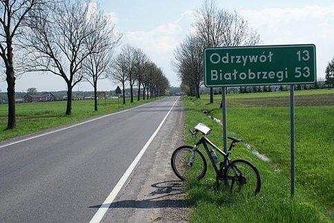 Czarny Bocian prowadzi prosto do Odrzywołu