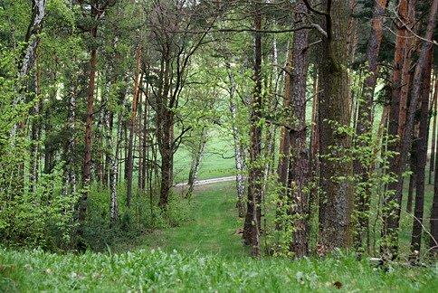Góra Królówka