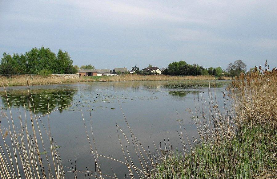 Jezioro Lisowskie