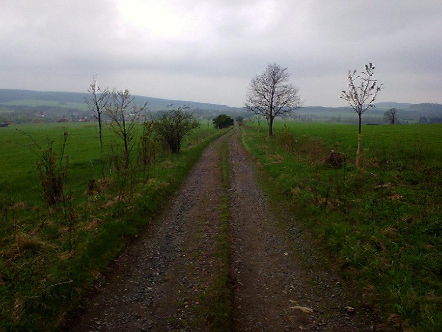 Trasy rowerowe okolice Lubania 03