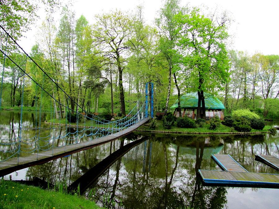 Szymocice - okolice basenu