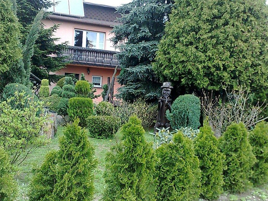 Ogródek w okolicy Nowej Wsi