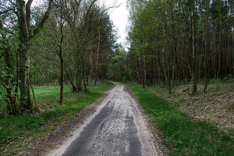 Koniec asfaltu i droga polna do puszczy