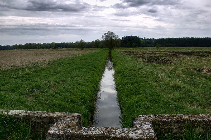 Kanał na łące