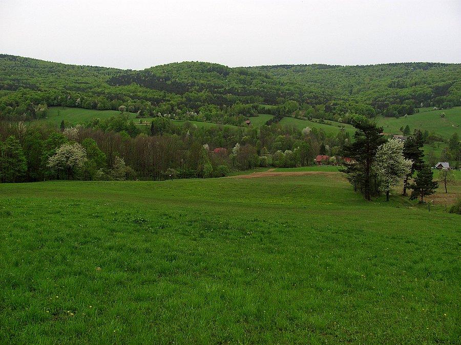 Magurzyce z góry