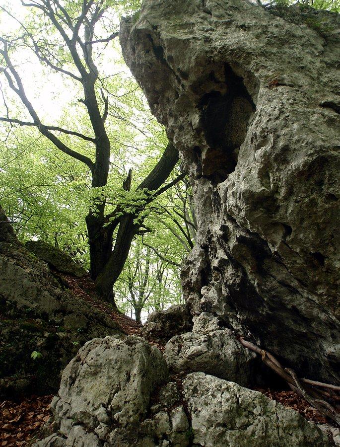 Skałki w okolicach Czarnego Kamienia