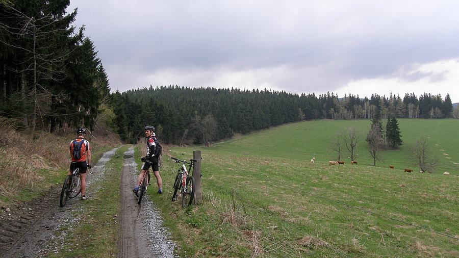 Na trasie Rychlebskiej 30 MTB