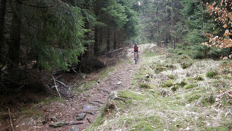 Fragment zielonego granicznego szlaku