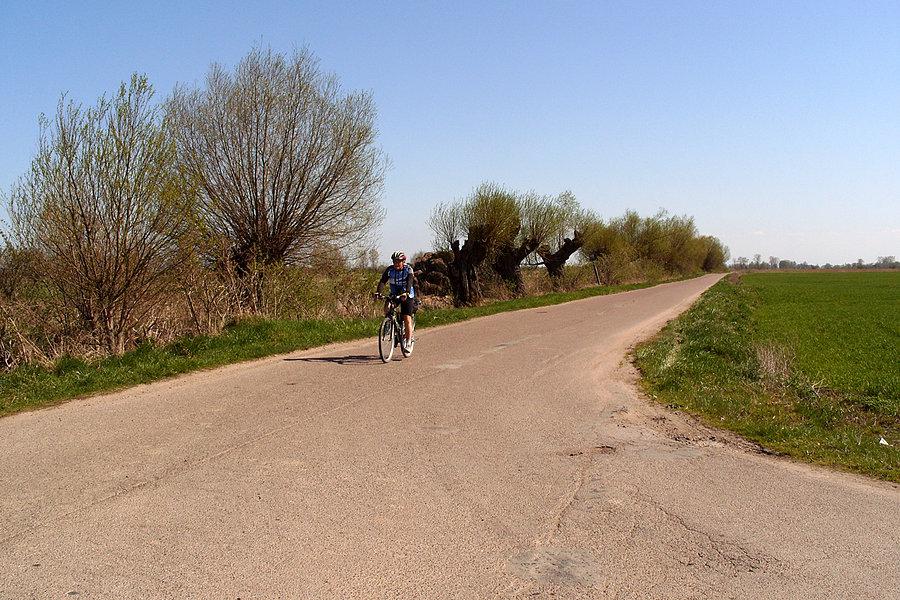 Delta Żuław