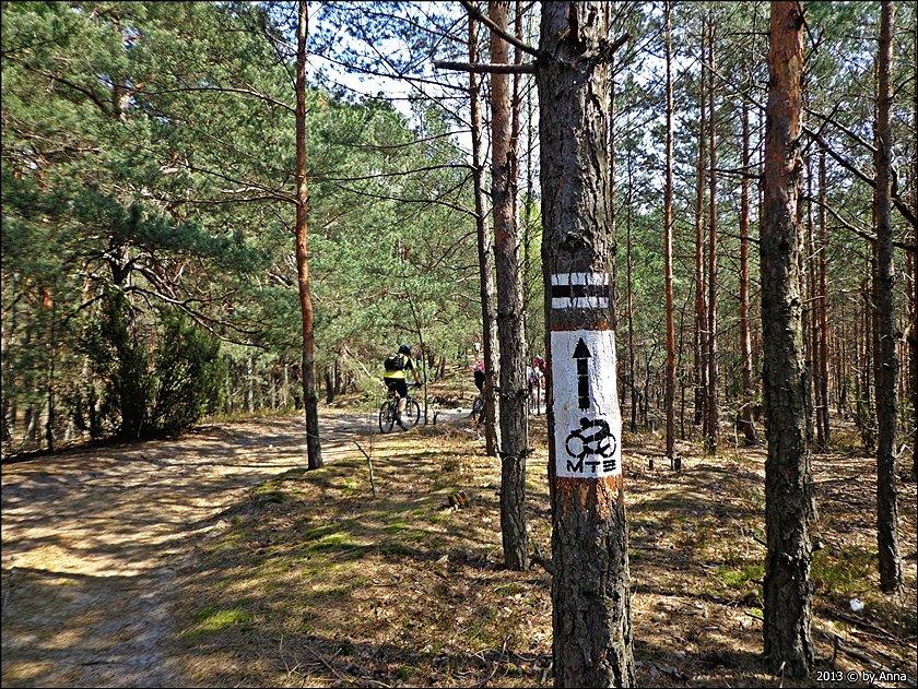 Trasa MTB!