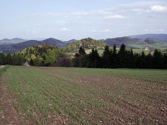 Typowy widoczek na Beskid Wyspowy
